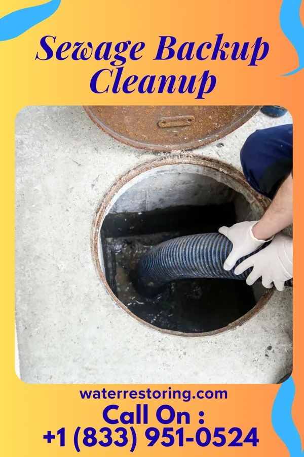 Sewage Backup Cleanup in Belton, MO
